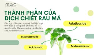 thành phần dưỡng ẩm