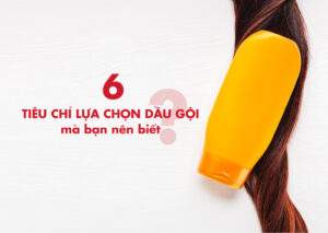 các tiêu chí lựa chọn dầu gội